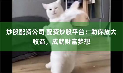 炒股配资公司 配资炒股平台:助你放大收益,成就财富梦想